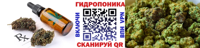 Купить Заречный Canna-Cookies конопля