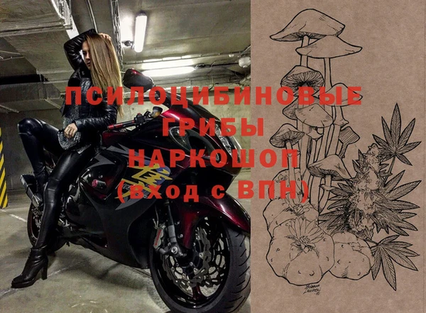 СК Козловка