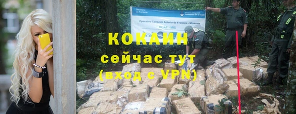 СК Козловка