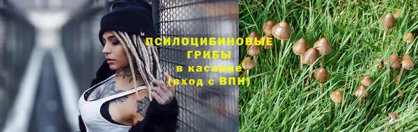 дживик Кодинск