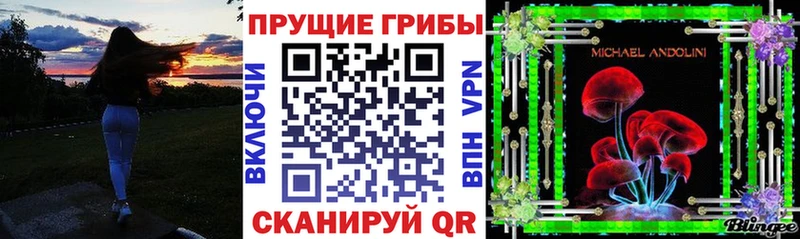 Купить  Заречный  Галлюциногенные грибы Psilocybine cubensis 